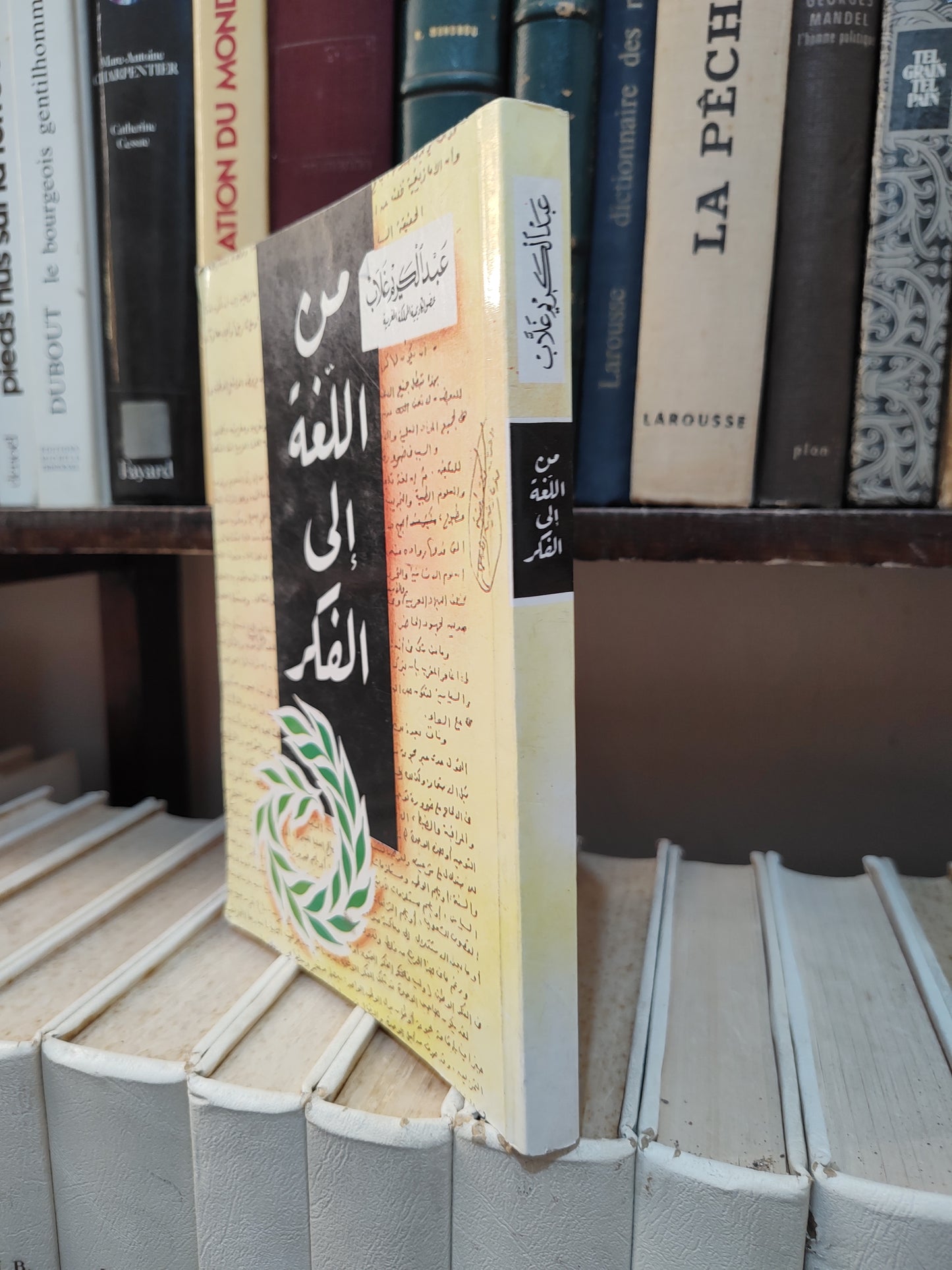 غلاب - من اللغة الى الفكر