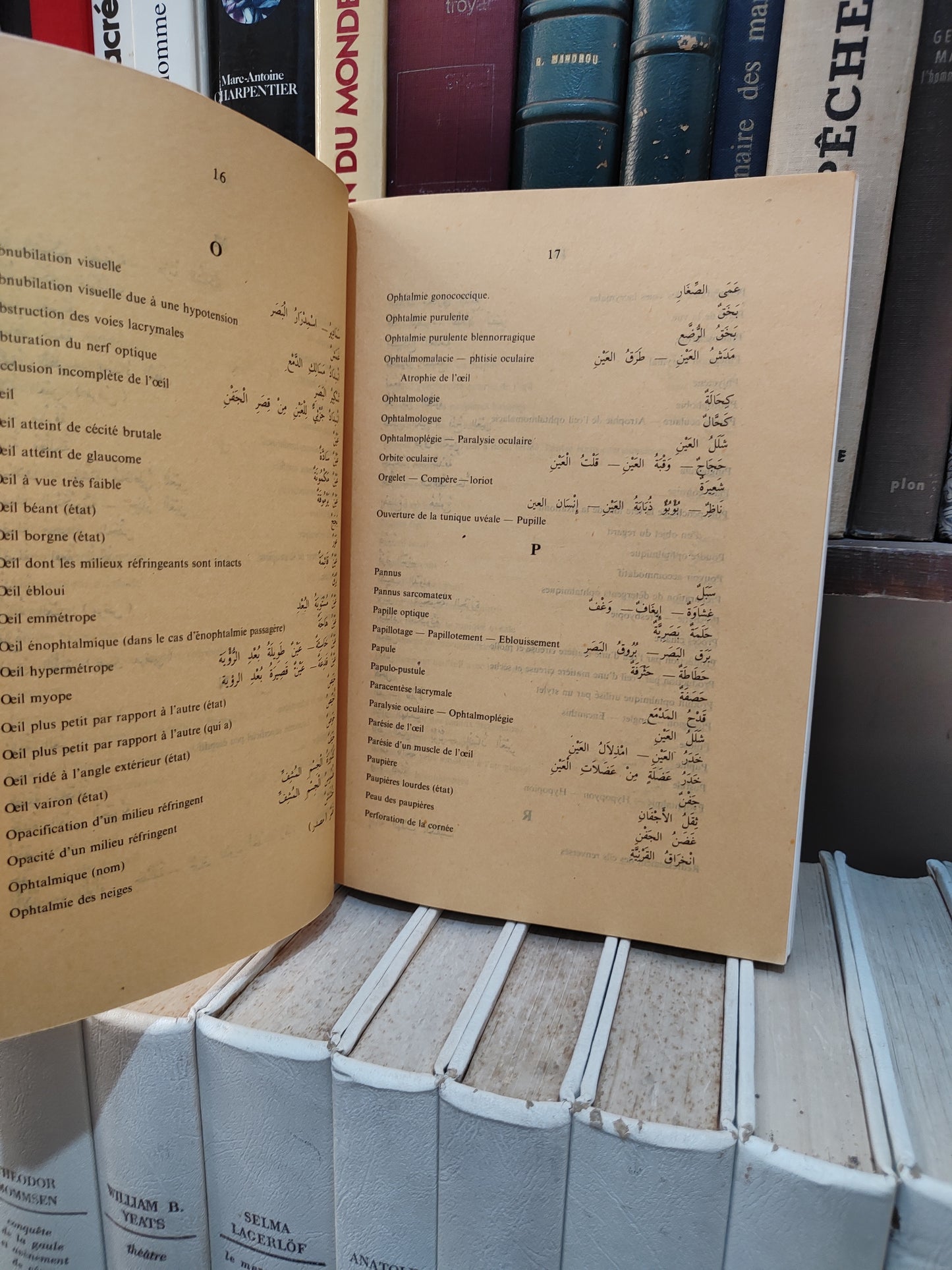بلقزيز - مفردات العين