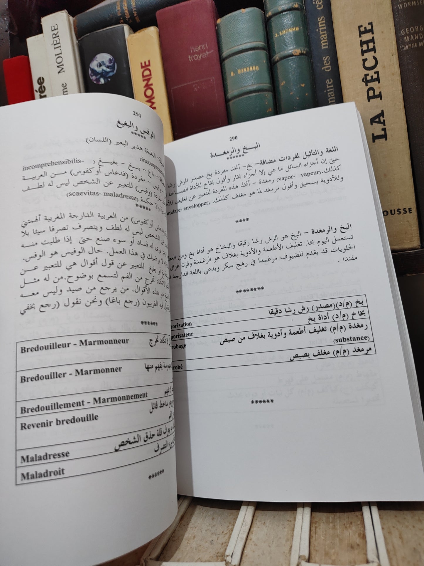 بلقزيز - مصطلحات علمية بطريقة التاثيل