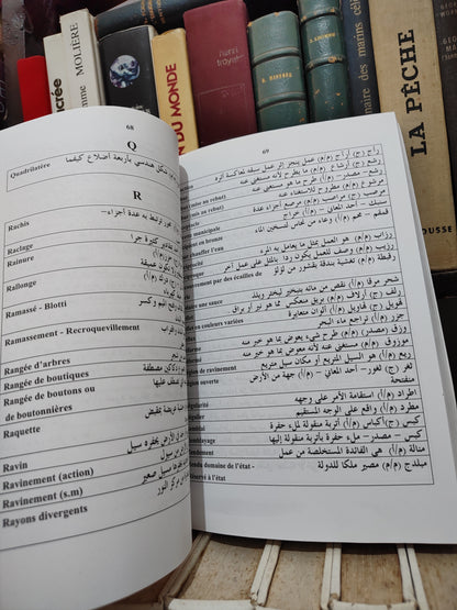 بلقزيز - مصطلحات علمية بطريقة التاثيل