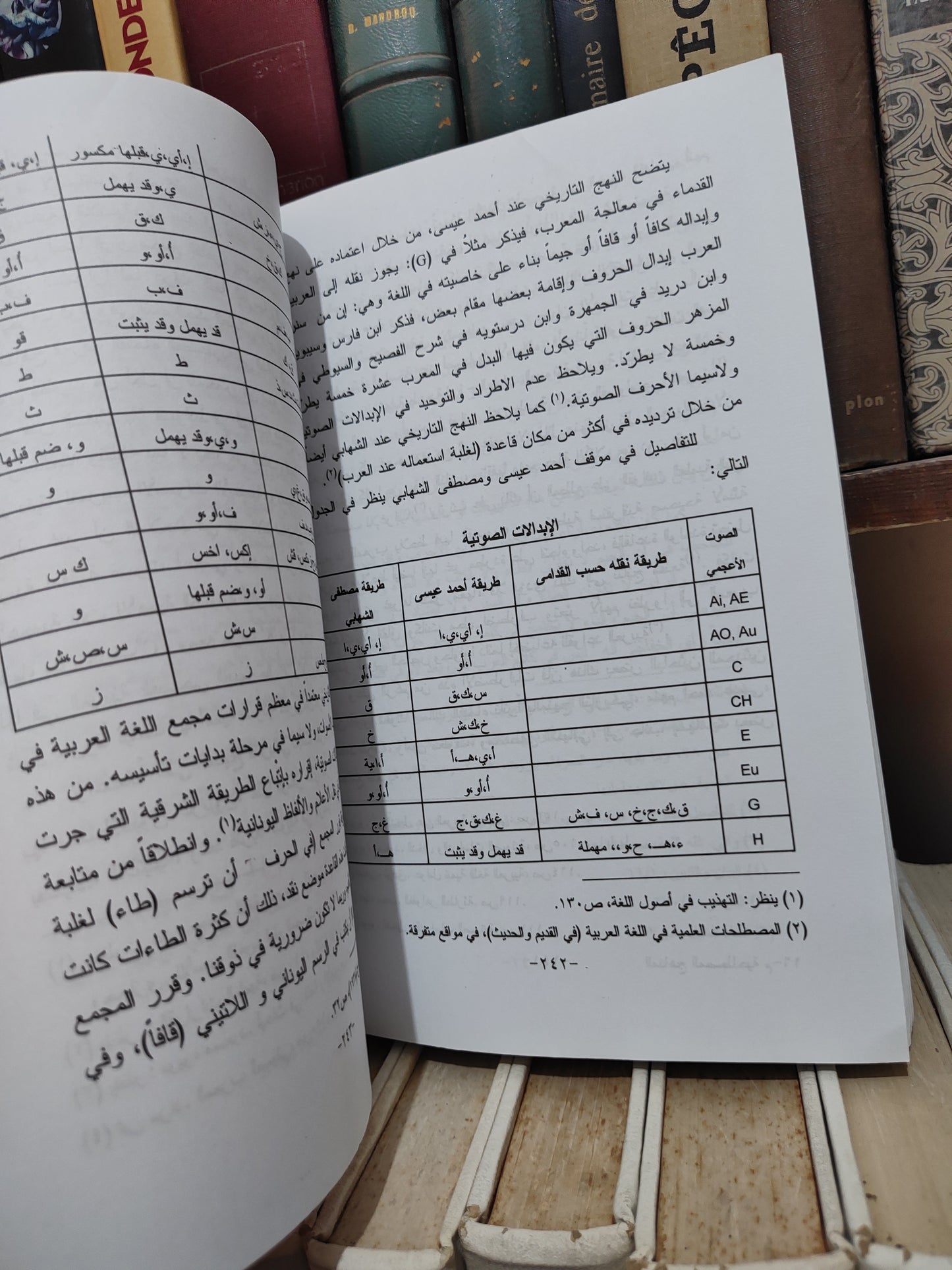 زفنكي - المناهج المصطلحية