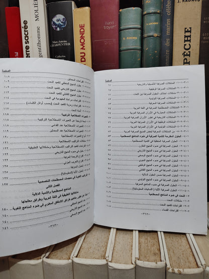 زفنكي - المناهج المصطلحية