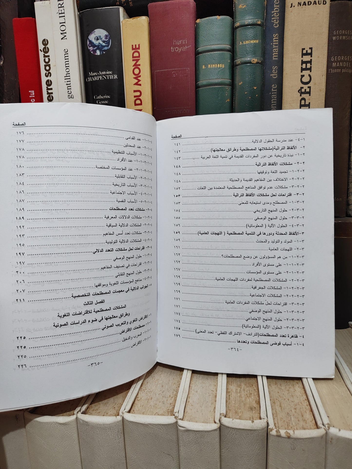 زفنكي - المناهج المصطلحية