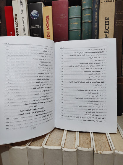 زفنكي - المناهج المصطلحية