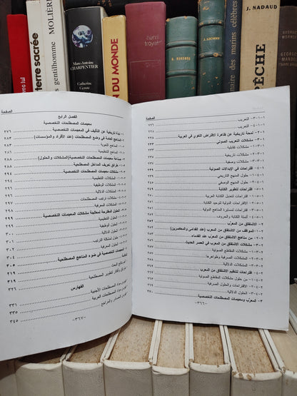 زفنكي - المناهج المصطلحية