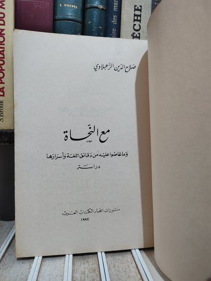 الزعبلاوي - مع النحاة