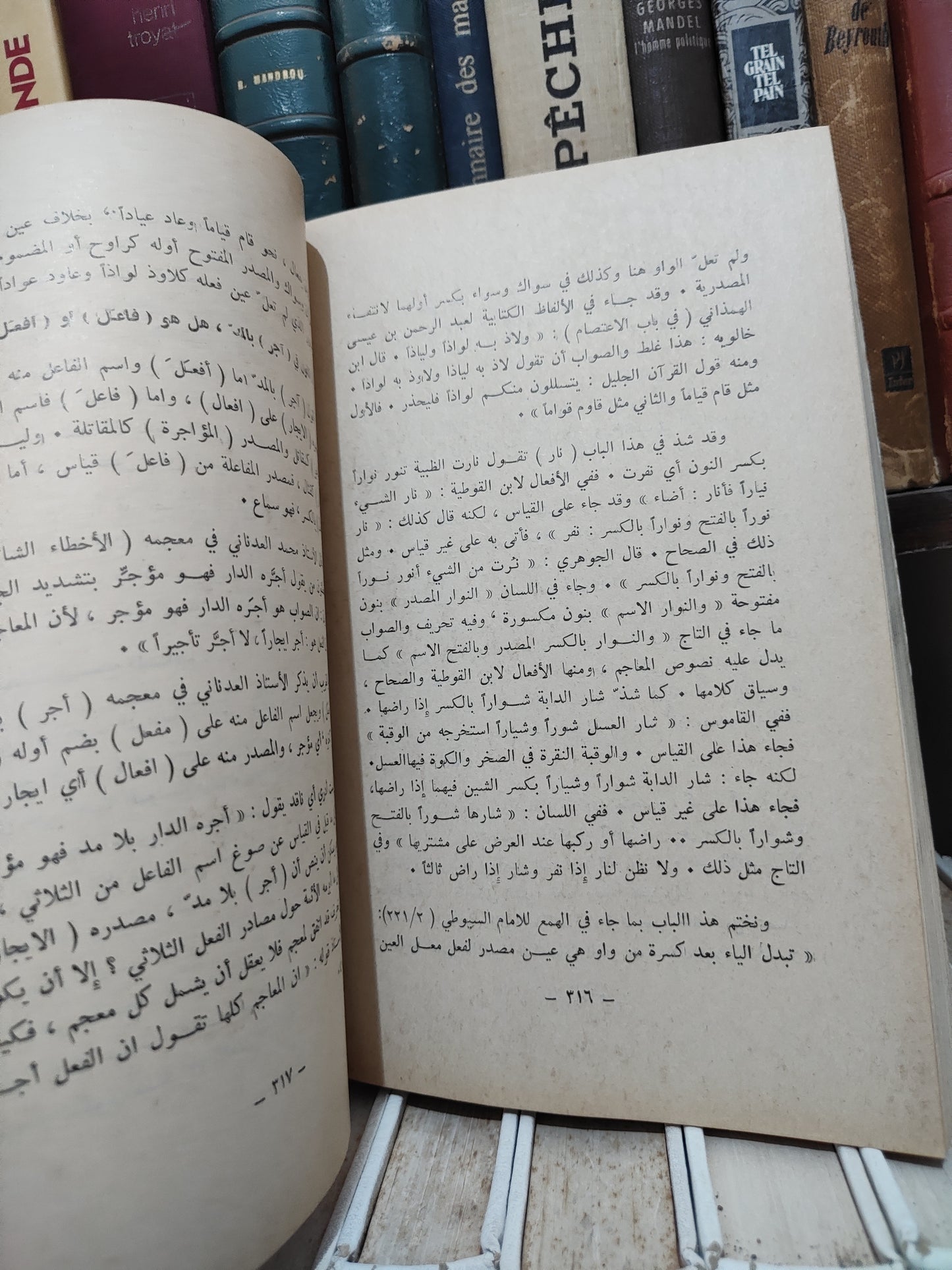 الزعبلاوي - مع النحاة