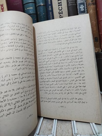 الزعبلاوي - مع النحاة
