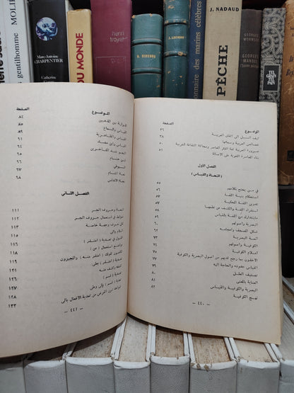 الزعبلاوي - مع النحاة
