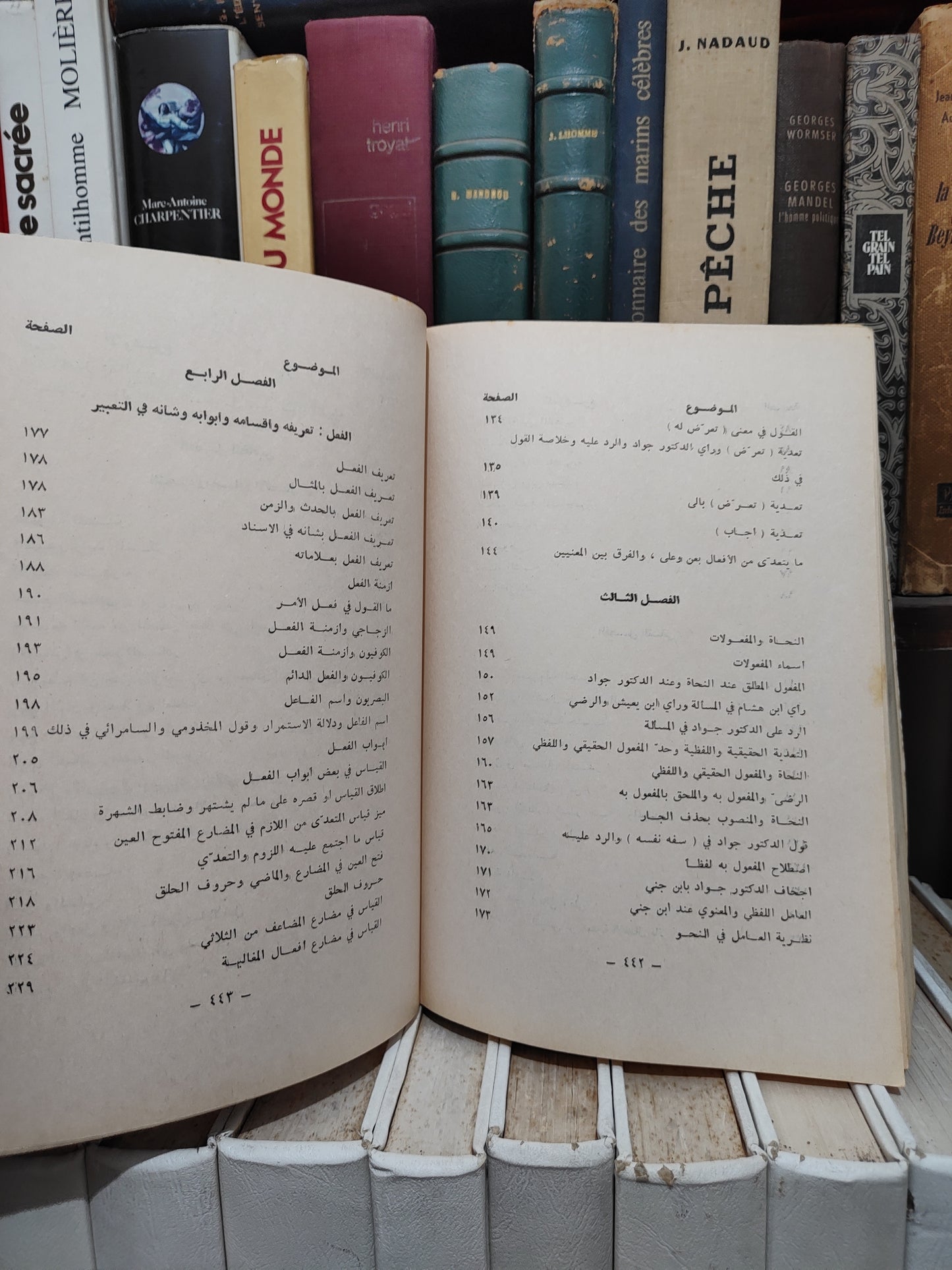 الزعبلاوي - مع النحاة