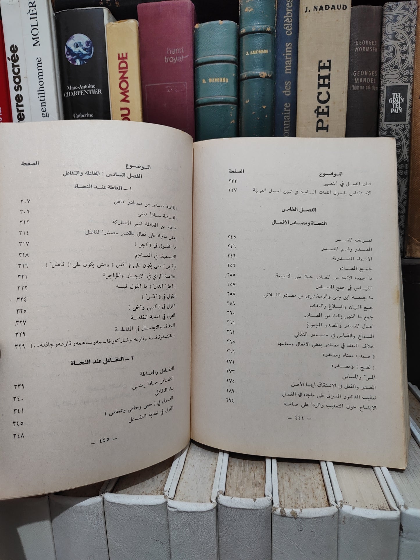 الزعبلاوي - مع النحاة