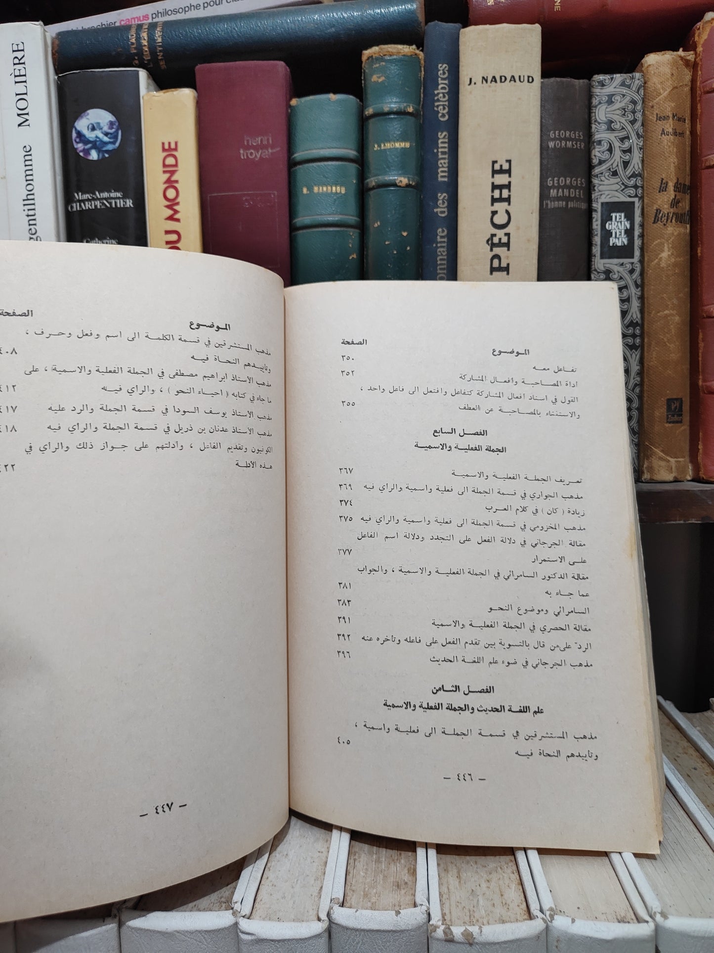 الزعبلاوي - مع النحاة