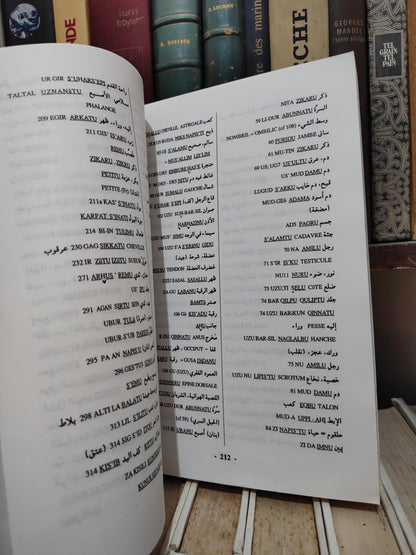 الوردي - حول رموز القران الكريم قاموس اصل اللغات