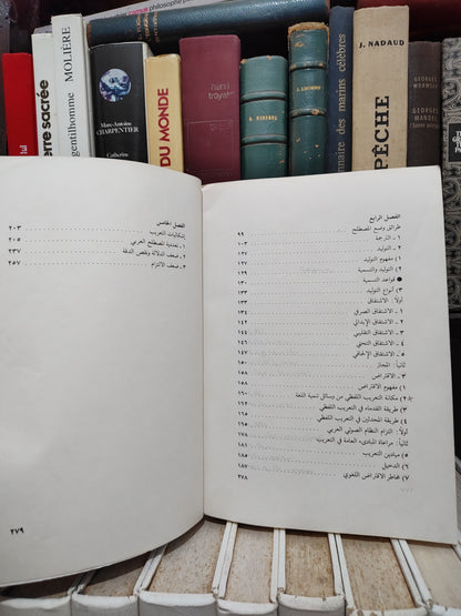 خسارة - التعريب و التنمية اللغوية