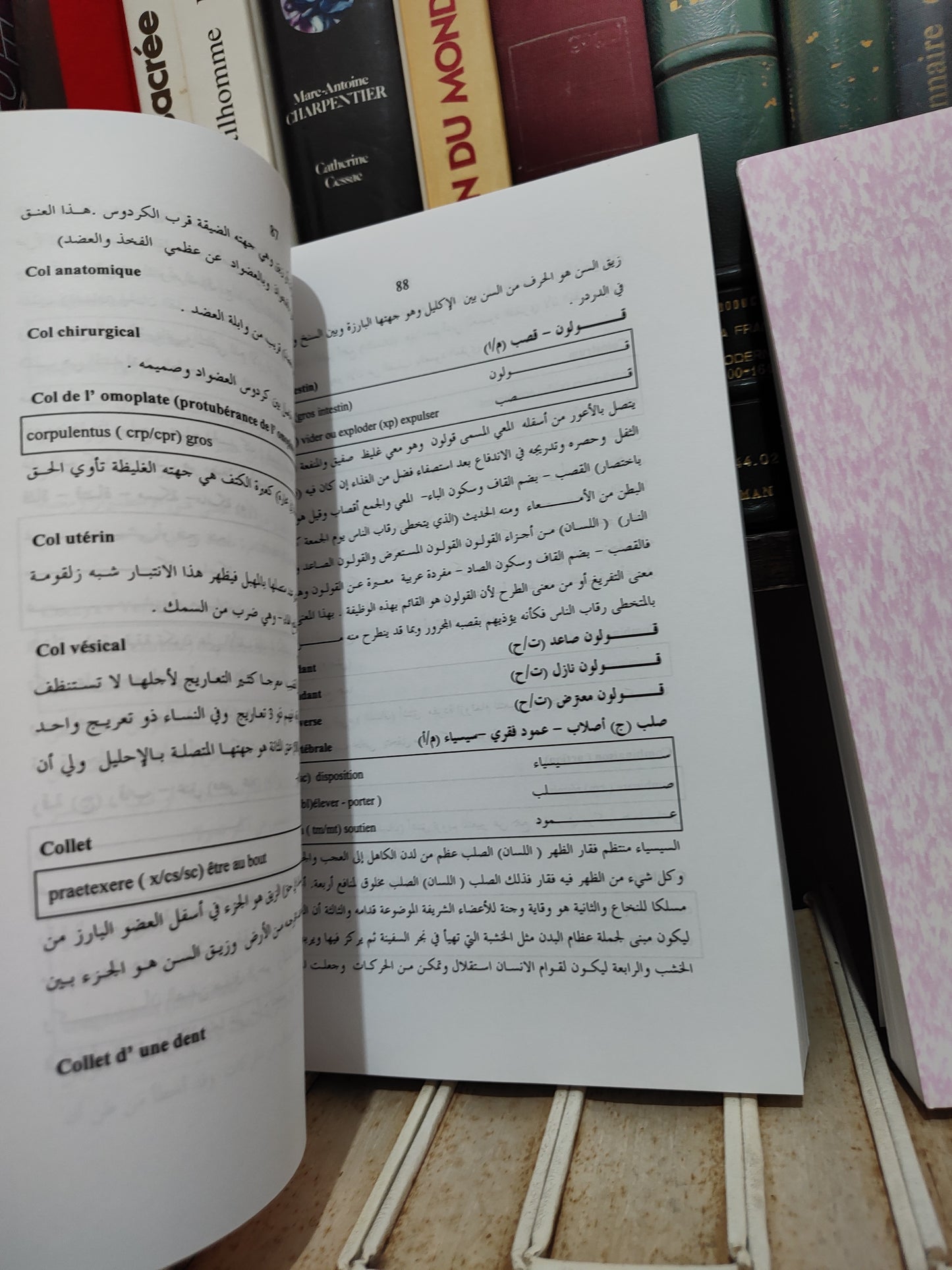 بلقزيز - مصطلحات التشريح في المراجع العربية الاصلية