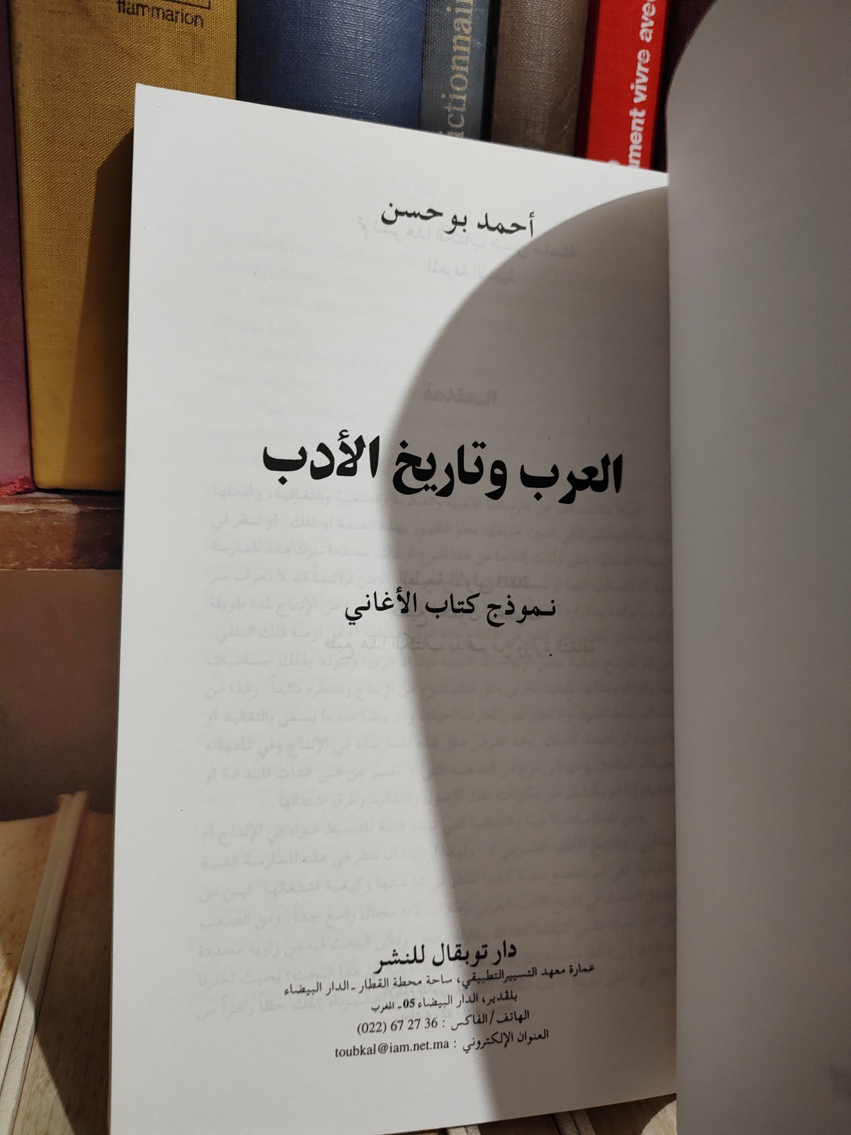 بوحسن - العرب و ناريخ الأدب