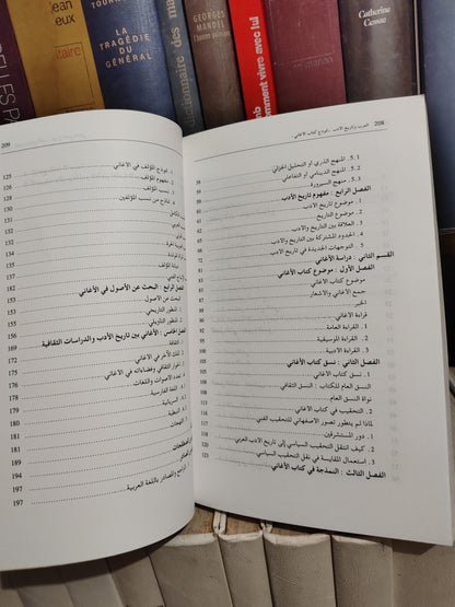 بوحسن - العرب و ناريخ الأدب
