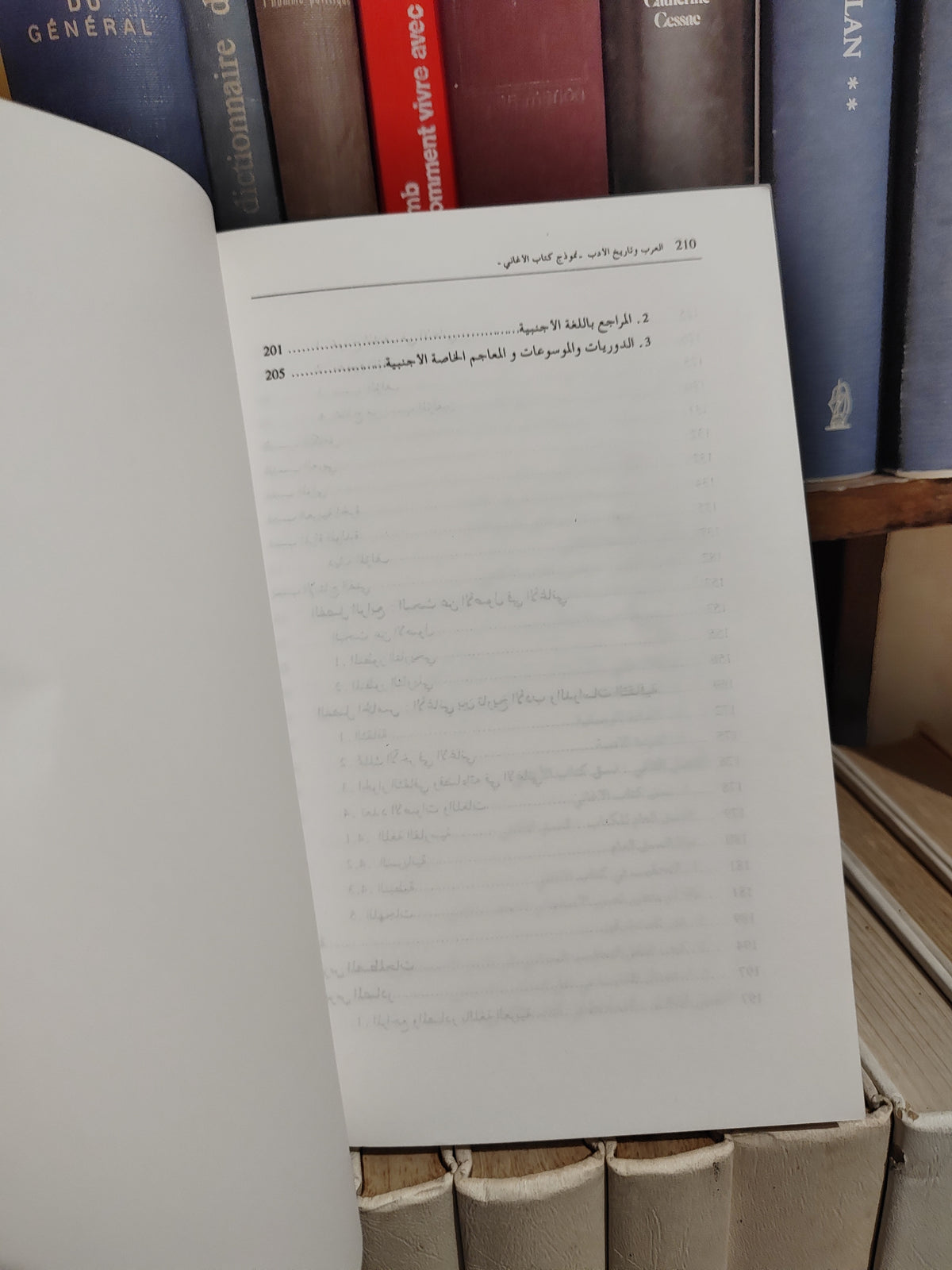 بوحسن - العرب و ناريخ الأدب