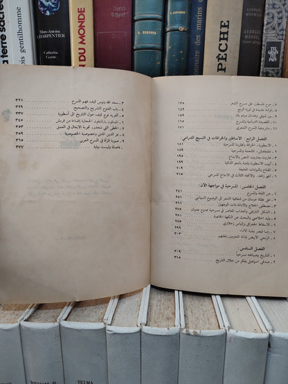 البرادعي - خصوصية المسرح العربي