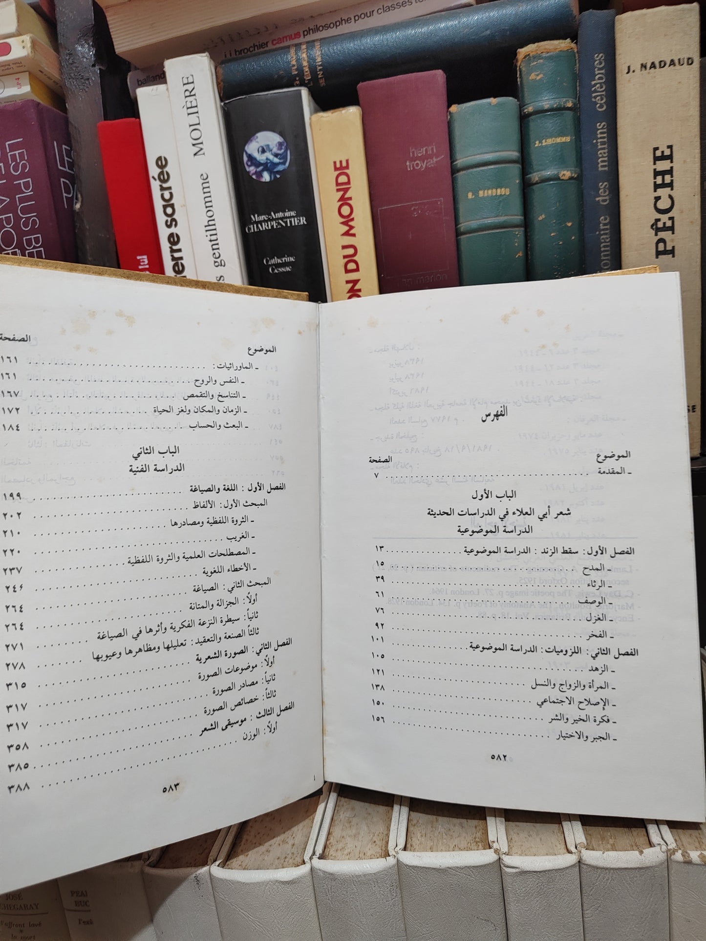 ابو شاويش - النقد الادبي الحديث حول شعر ابي العلاء المعري