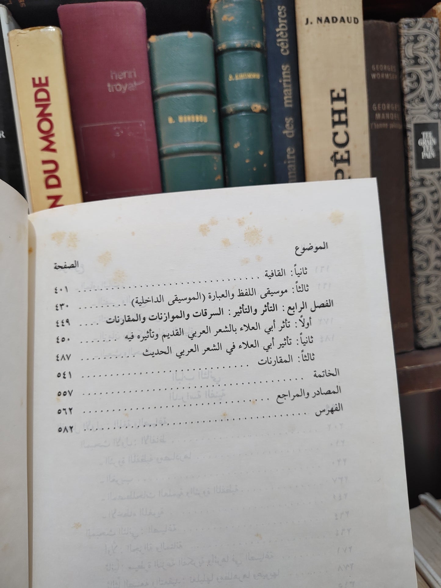 ابو شاويش - النقد الادبي الحديث حول شعر ابي العلاء المعري