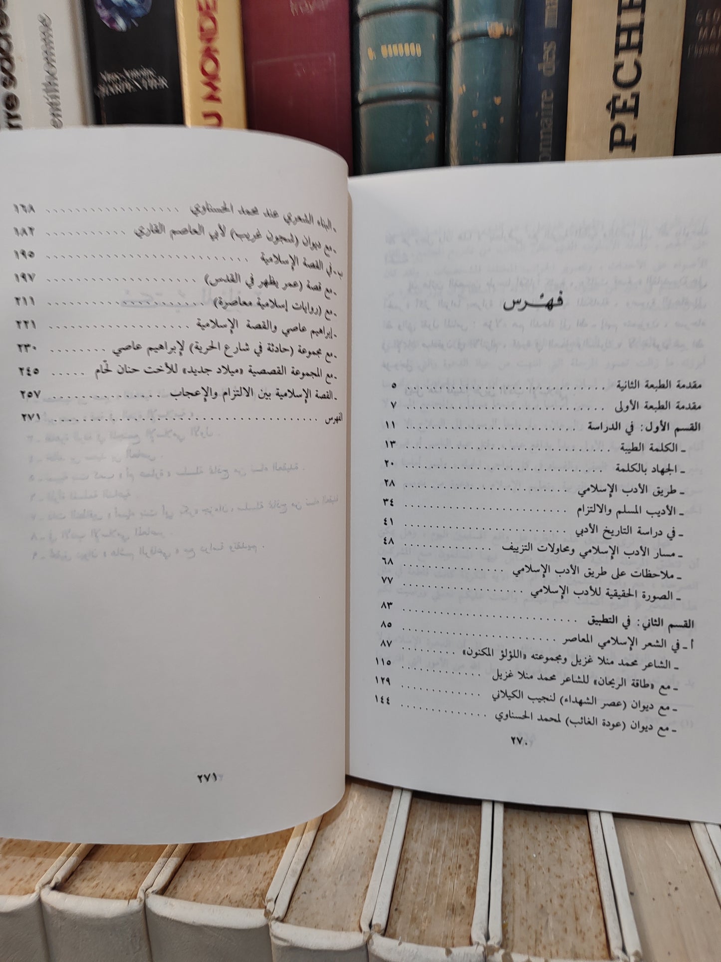 بريغش - في الادب الاسلامي المعاصر