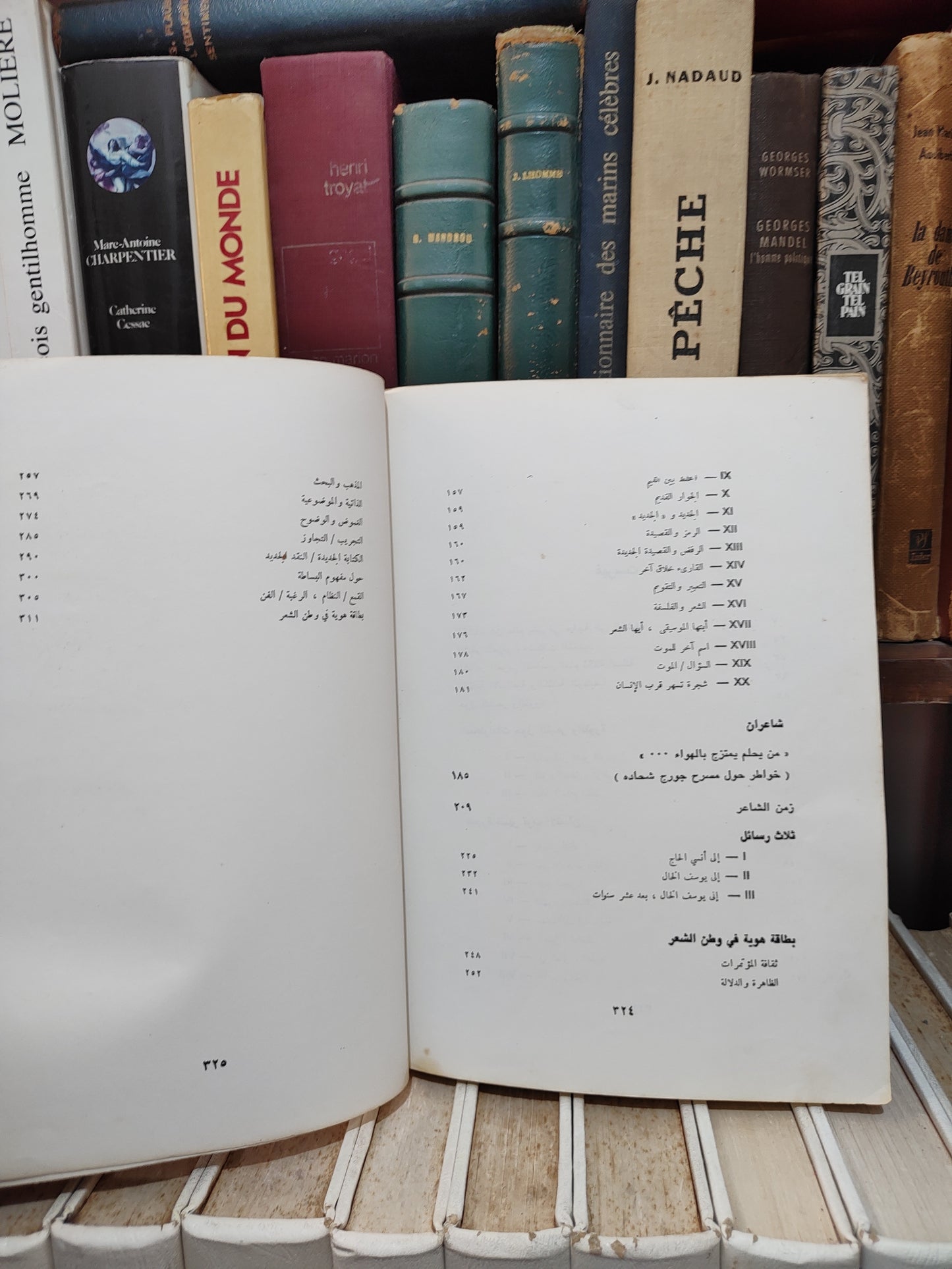 أدونيس - زمن الشعر
