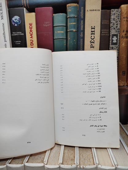 أدونيس - زمن الشعر