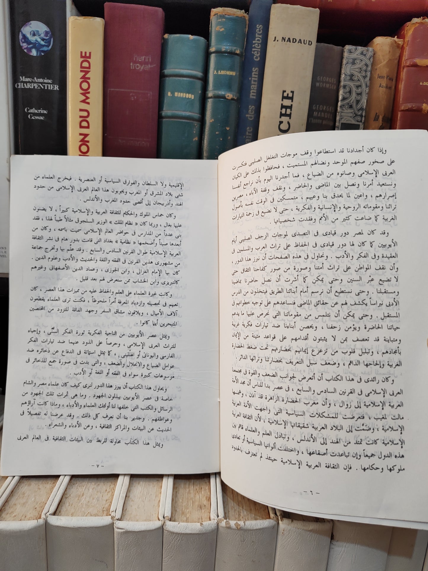 سلام - الادب في العصر الايوبي