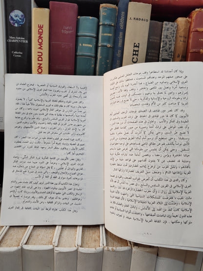 سلام - الادب في العصر الايوبي