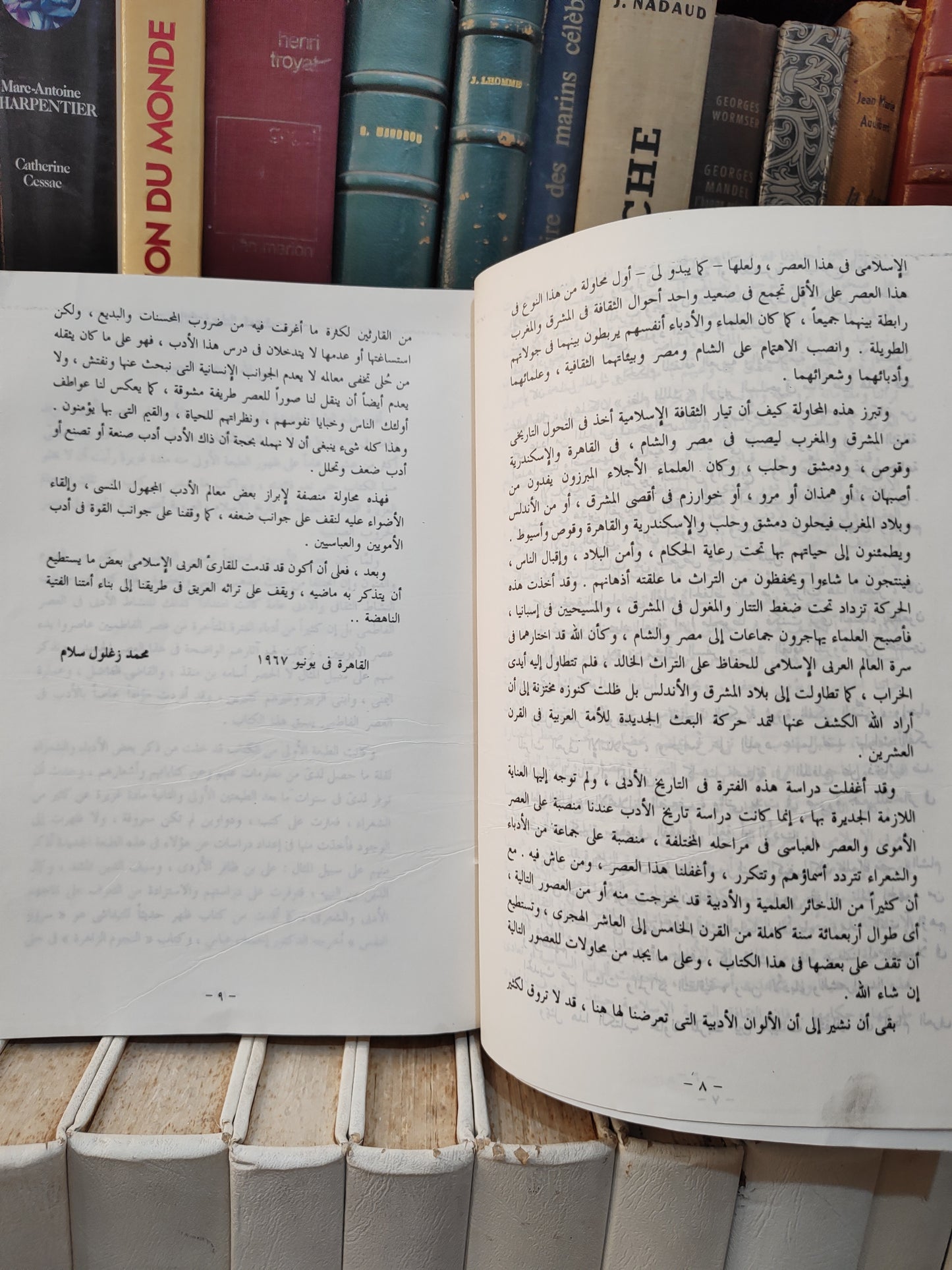 سلام - الادب في العصر الايوبي