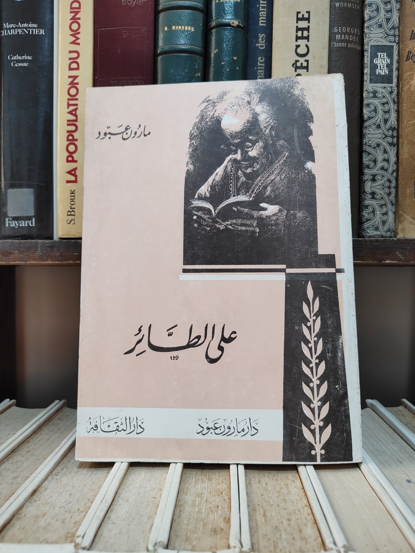 عبود - على الطتئر