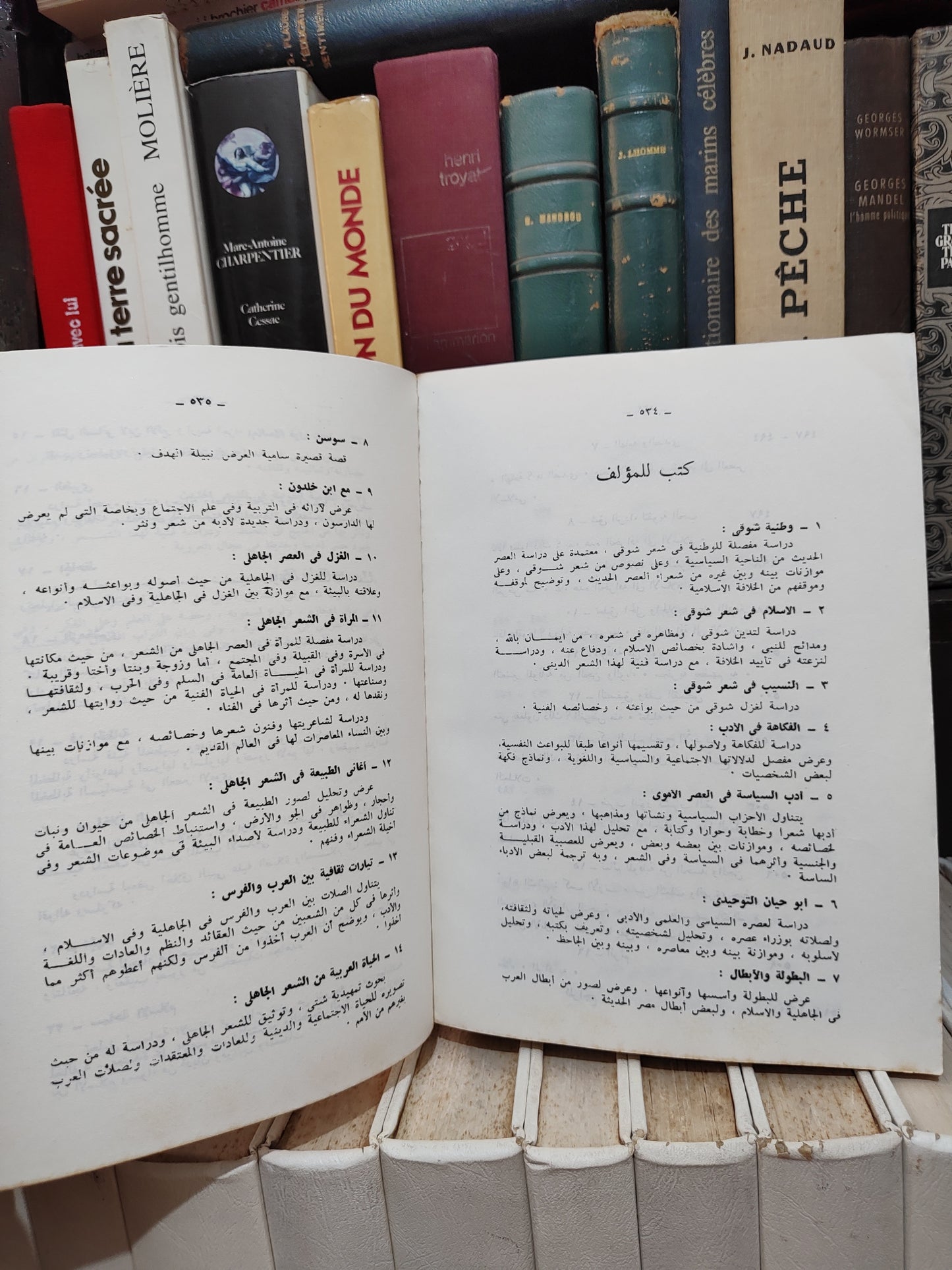 الحوفي - الحياة العربية من الشعر الجاهلي
