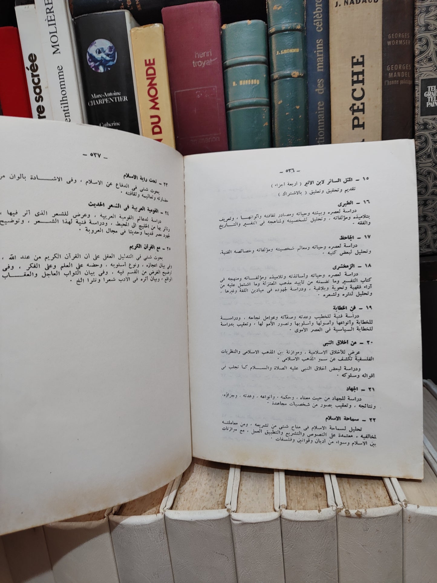 الحوفي - الحياة العربية من الشعر الجاهلي