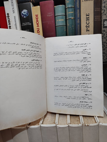 الحوفي - الحياة العربية من الشعر الجاهلي