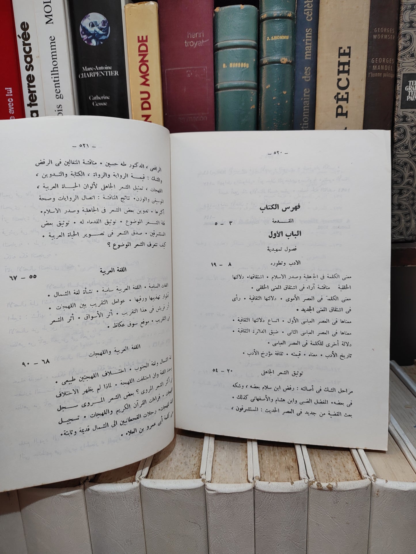 الحوفي - الحياة العربية من الشعر الجاهلي