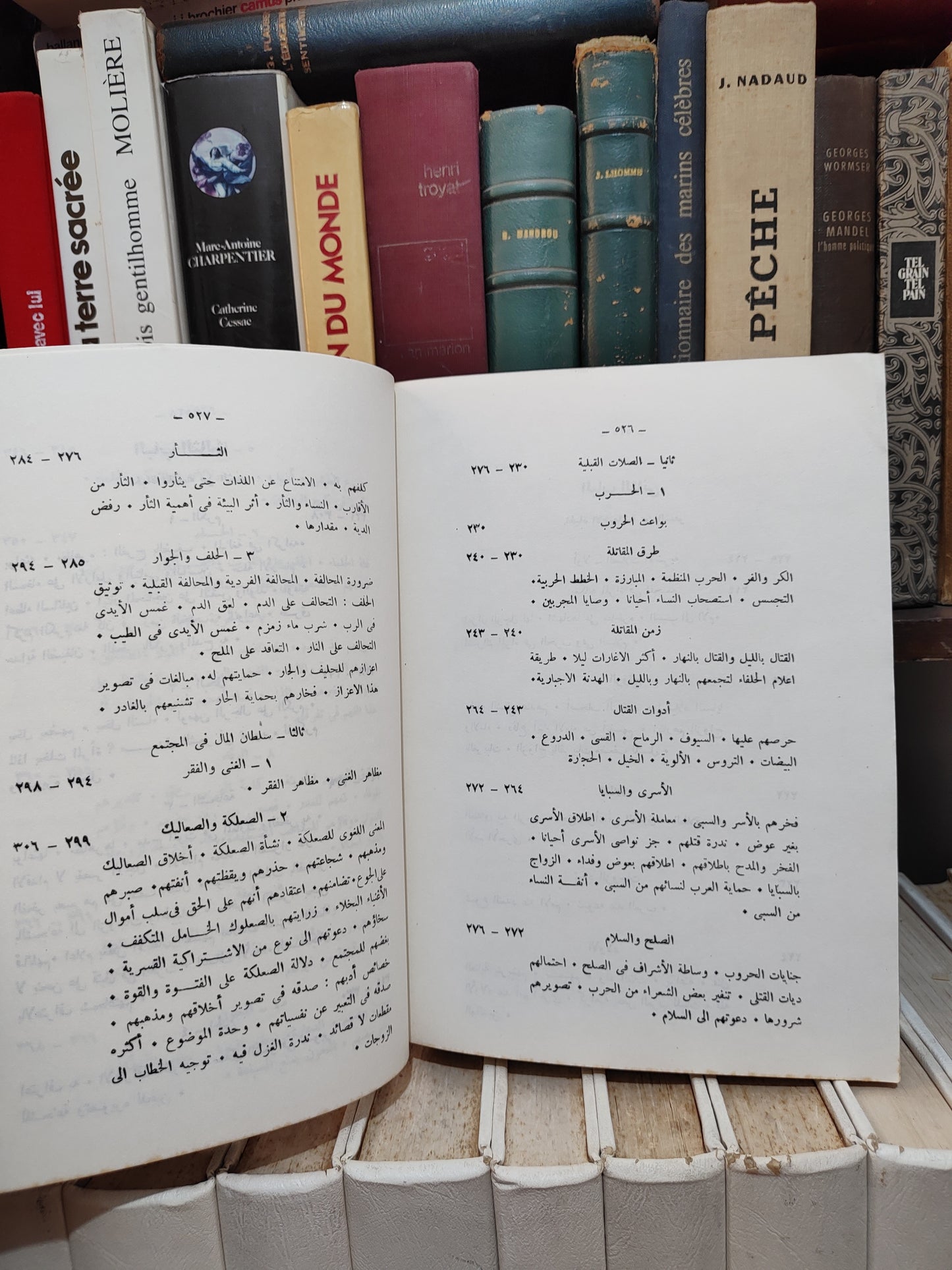 الحوفي - الحياة العربية من الشعر الجاهلي