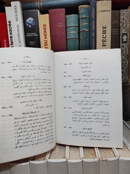 الحوفي - الحياة العربية من الشعر الجاهلي