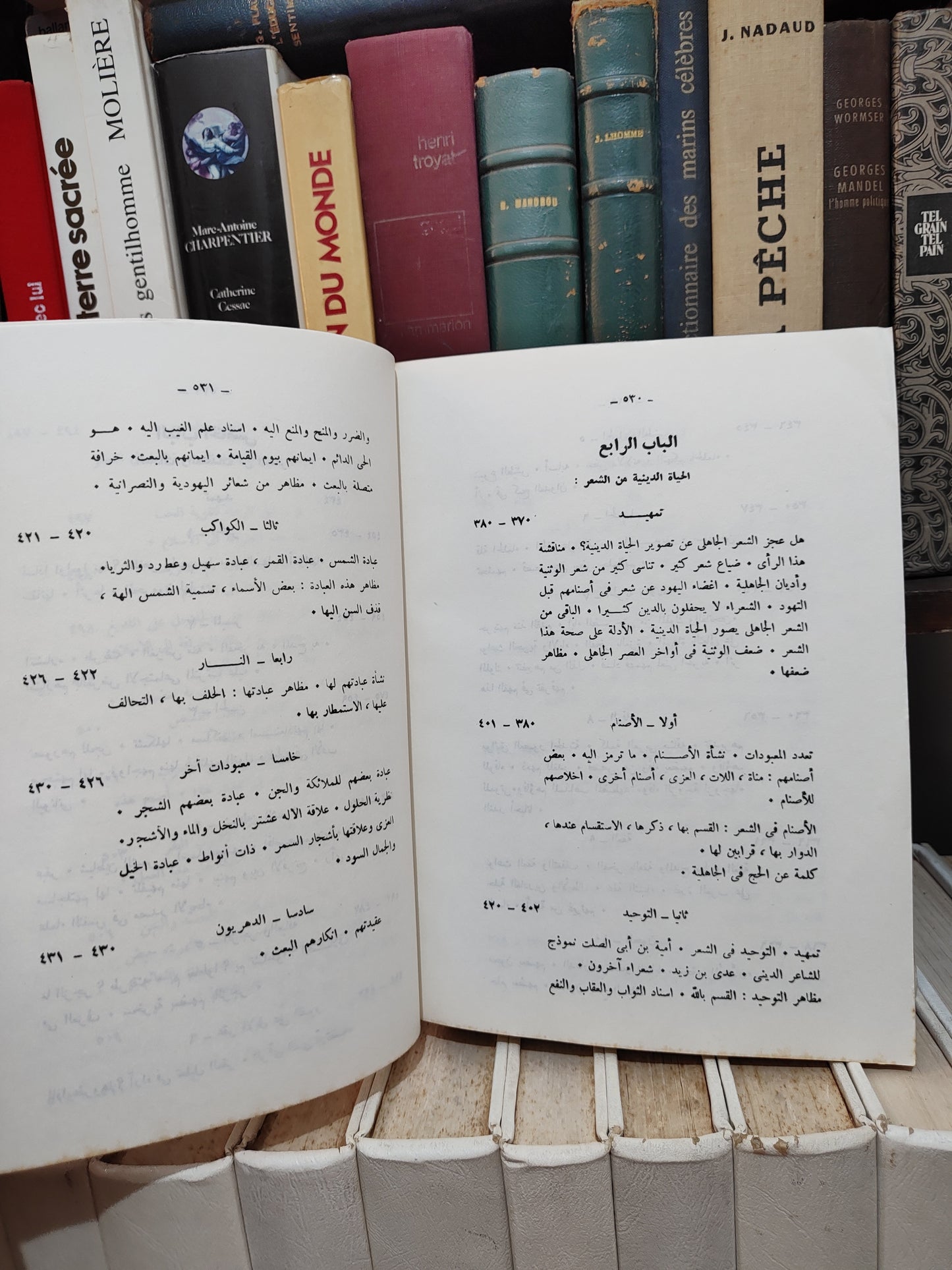 الحوفي - الحياة العربية من الشعر الجاهلي