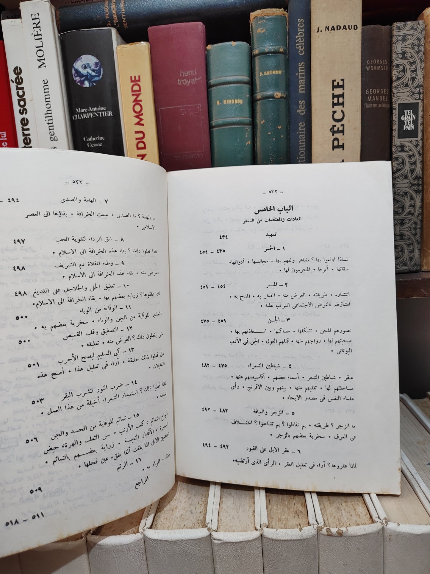 الحوفي - الحياة العربية من الشعر الجاهلي