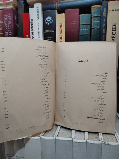 الهاشم - المفيد في الأدب العربي الجزء الثاني