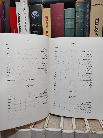 الحوفي - ادب السياسة في العصر الأموي