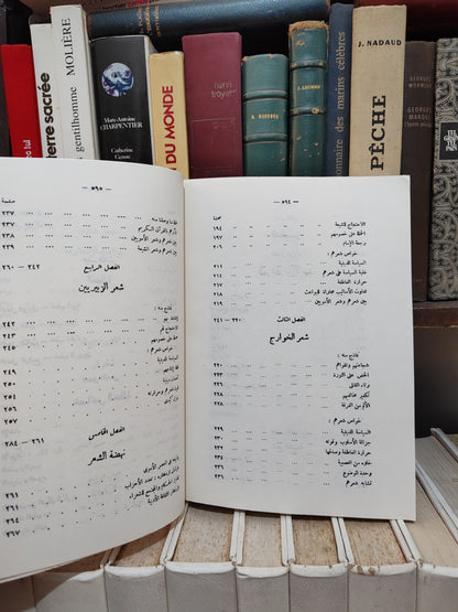 الحوفي - ادب السياسة في العصر الأموي