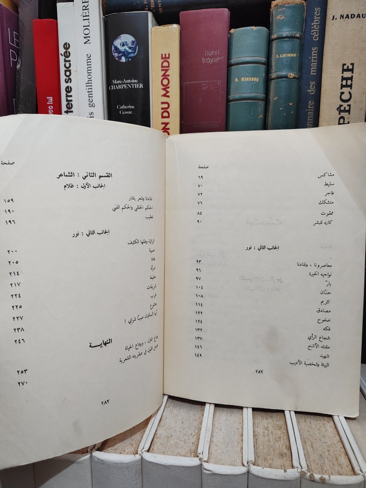 النويهي - شخصية بشار