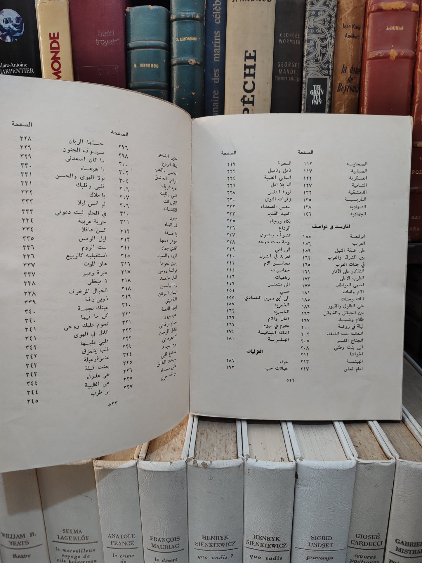 جيوان ابي الفضل الوليد