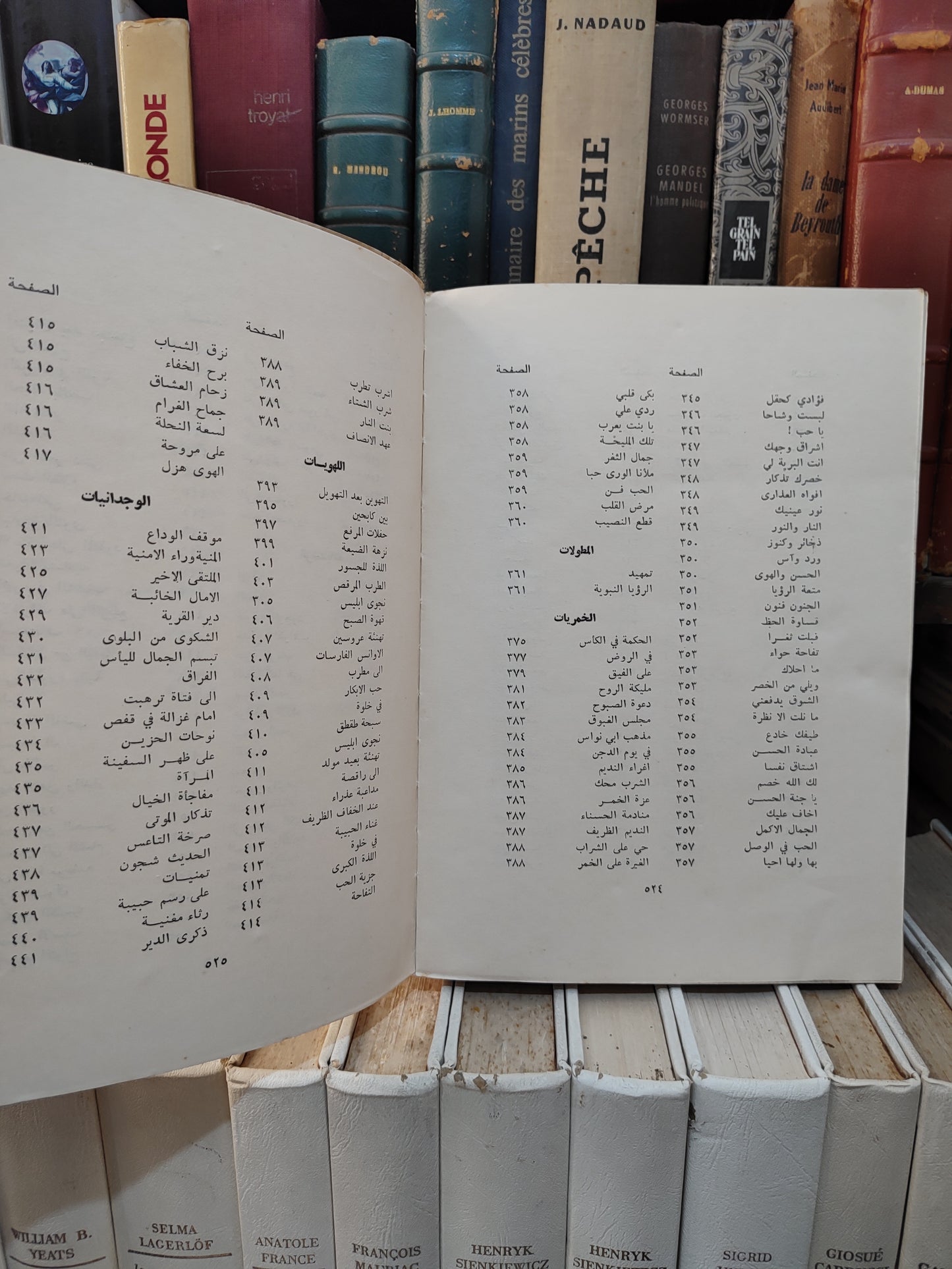 جيوان ابي الفضل الوليد