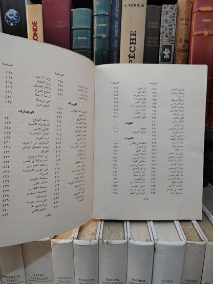 جيوان ابي الفضل الوليد