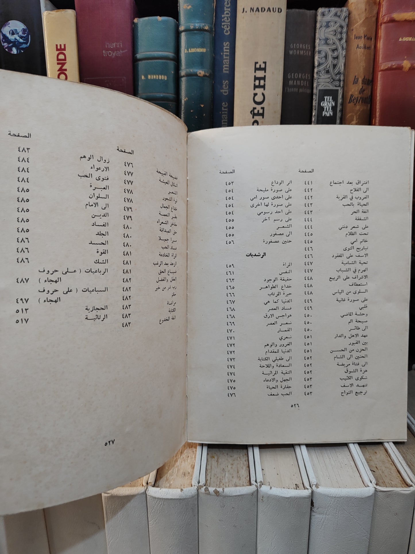 جيوان ابي الفضل الوليد