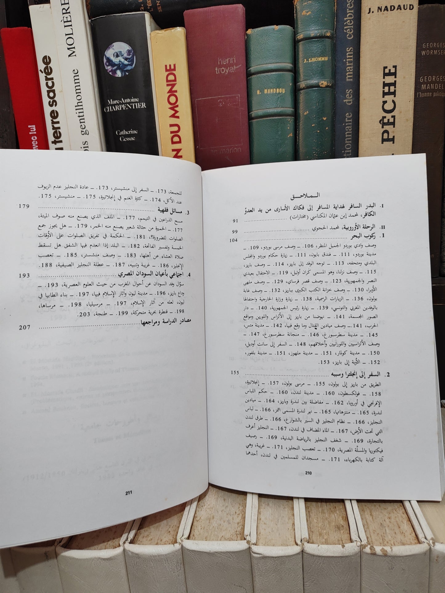 العلوي - اوروبا في مراة الرحلة
