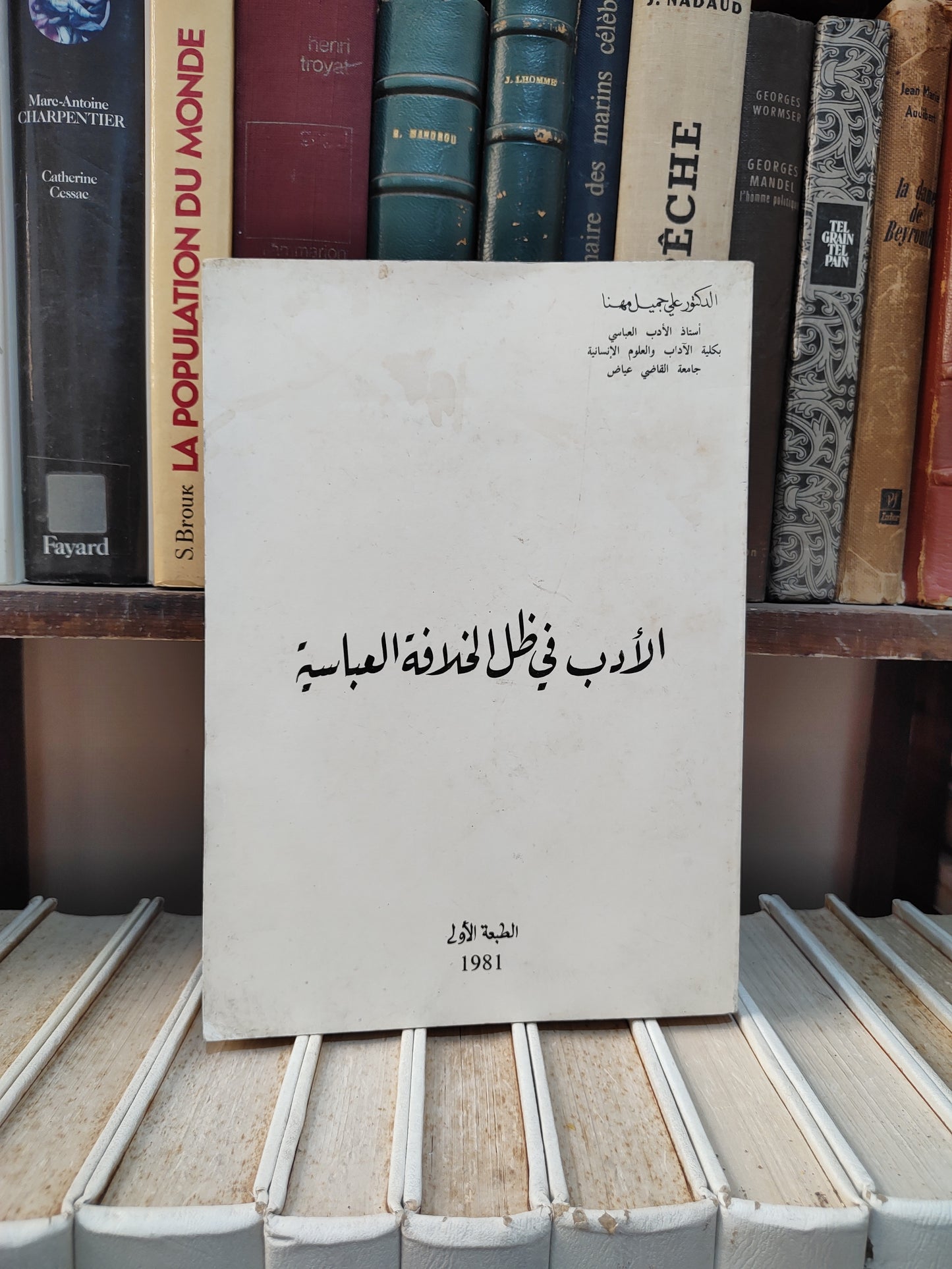 مهنا - الادب في ظل الخلافة العباسية